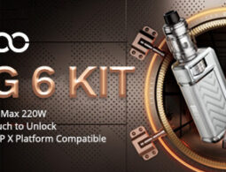elfbar nachfüll pod läuft aus Buy Geek Vape Z-Series 0.25 Ohm Atomizer Heads – Snustrend main image 1